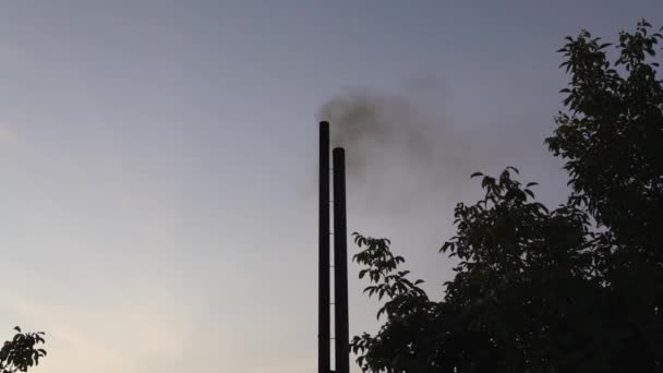 Potrubí Párou Černým Kouřem Vyzařuje Pozadí Večerní Oblohy Stromů Environmentální — Stock video