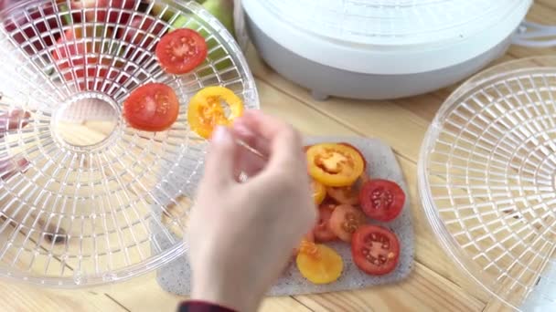 Kobieta Ręka Bierze Stawia Plasterki Czerwonych Żółtych Pomidorów Suszarce Warzywnej — Wideo stockowe