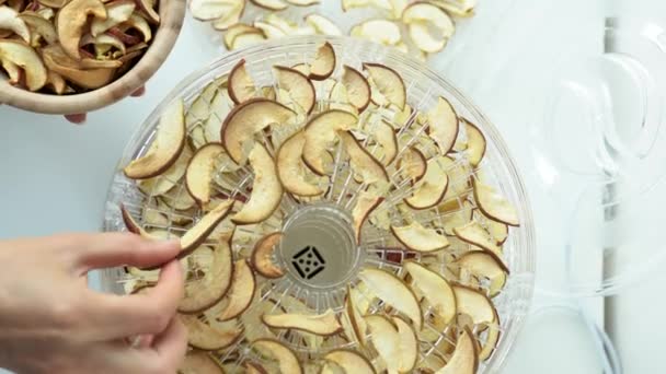女用手拿着用家用水果和蔬菜烘干机准备的新鲜烘干的苹果片放在木碗里 在机器烘干的特写镜头中烘干的素食 4K中的健康营养概念 — 图库视频影像