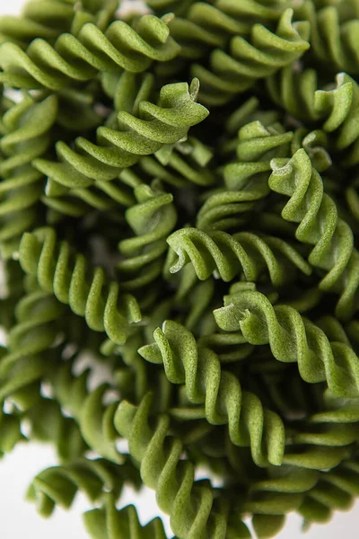 Raw Green Fusilli Pasta Natural Based Spinach Spirulina Delicious Healthy — Stock Photo, Image