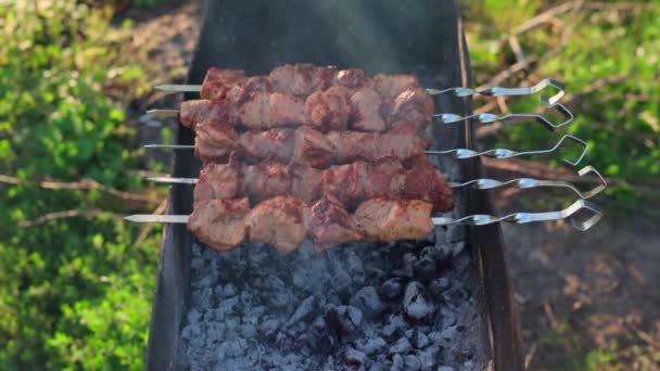 Deliciosa Barbacoa Parrilla Kebab Parrilla Abierta Día Verano Cocina Aire — Vídeos de Stock