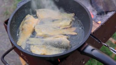 Tavada kızartılmış sazan ve sobanın üzerindeki fileto. Yaz pikniği için ızgarada açık ateşte balık kızartmak. Evin arka bahçesinde deniz mahsulleri pişiriyorum. Video görüntüleri 4K 25FPS