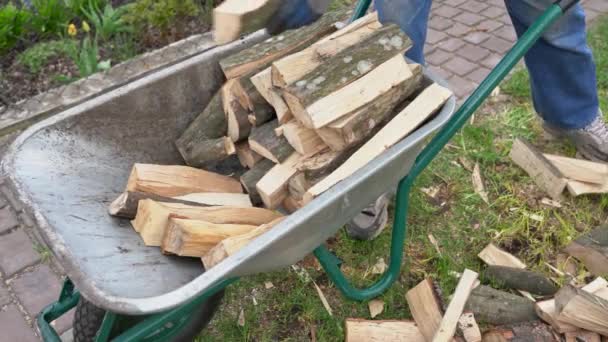 Mężczyzna Rękawiczkach Pracujący Drewnem Podwórku Rustykalnej Wsi Starszy Mężczyzna Niesie — Wideo stockowe