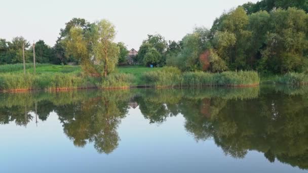 鏡面のようなガラスで湖に映る木々の絶景 水生生物のいる村の家は 木の間に猫と葦のいる池の近くに立っている 4K景観 — ストック動画