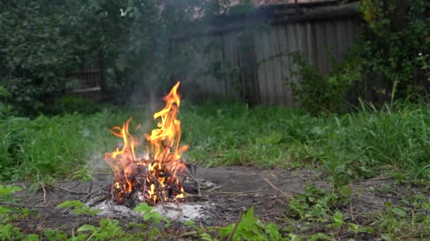 Widok Bliska Ognisko Ogrodzie Ognisko Pobliżu Drzew Trawie Płonący Ogień — Wideo stockowe
