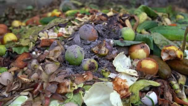 Primer Plano Del Compost Orgánico Montón Con Residuos Verdes Proceso — Vídeo de stock