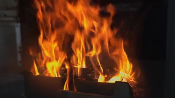 Foc Arde Într Șemineu Pentru Încălzi Într Seară Iarnă Close — Videoclip de stoc