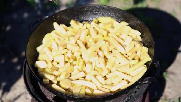 Man Hand Salta Maträtt Matlagning Hemlagad Stekt Potatis Stekpanna Utomhus — Stockvideo