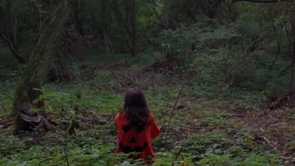 Одинокая Девушка Сидящая Земле Озирающаяся Вокруг Мрачном Готическом Лесу Задний — стоковое видео