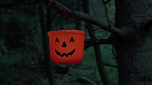 Πλαστικό Τέχνασμα Θεραπεία Jack Lantern Κρέμονται Κλαδί Δέντρου Σκοτεινό Γοτθικό — Αρχείο Βίντεο