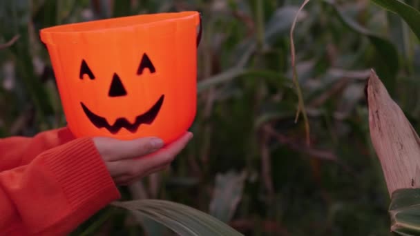 Girl Stretches Out Her Hands Holding Jack Lantern Burning Candle — Stock Video