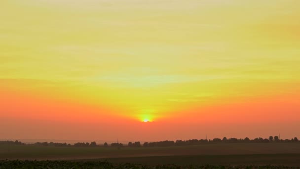 太陽は長い日没の終わりにフィールドの地平線を下って行く 西カナダのアルバート プラリエスにある農民の牧草地の上のサンダウン タイムラプス 太陽を動かす景色のオレンジ色の空 カナダの素晴らしい風景 — ストック動画
