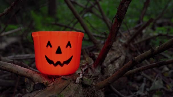 Karanlık Gotik Ormandaki Ağaç Kütüğünün Üzerinde Duran Fener Şakası Şeker — Stok video