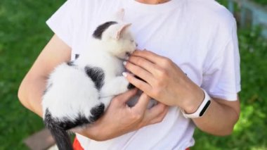 Genç bir kadın, açık havada beyaz gömlekli bir kedi yavrusunu kollarında tutuyor. Bir kız parmaklarını ısıran küçük komik bir kediyle oynuyor. Bir evcil hayvan için ilgi ve sevgi kavramı. 4K içinde video görüntüleri