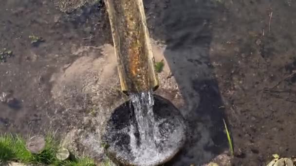 Archaische Natürliche Wasserquelle Der Rutsche Sauberes Frisches Natürliches Trinkwasser Fällt — Stockvideo