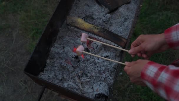 Close Marshmallows Cozidos Forno Uma Vara Madeira Sobre Carvão Ardente — Vídeo de Stock