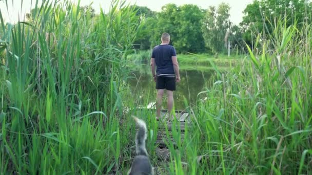 Junger Mann Mit Hund Steht Ende Eines Stegs Schilf Und — Stockvideo