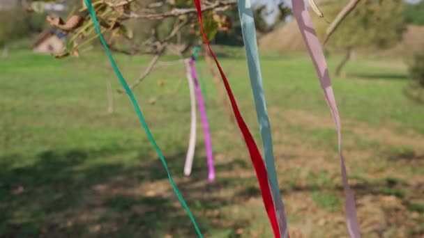 Kleurrijke Linten Lenteboom Tuin Fladderen Wind Close Traditioneel Decor Symbool — Stockvideo