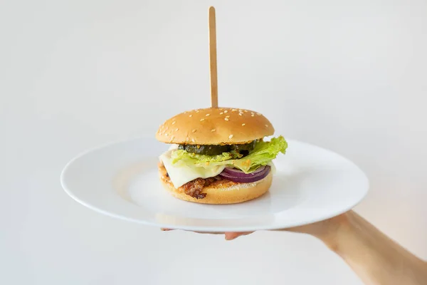 Hand holding a plate with a burger, featuring lettuce, tomato, onion, against white background