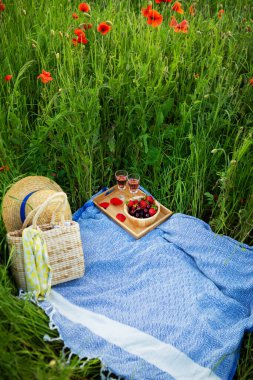 Mavi ve beyaz desenli battaniye, meyve, şarap ve hasır aksesuarların yer aldığı canlı bir haşhaş tarlasında enfes bir piknik sahnesi sergileniyor..