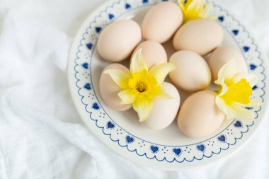Nazik nergislerin arasına yerleştirilmiş pastel renkli yumurtalar büyüleyici mavi ve beyaz bir tabakta. Yeni başlangıçları ve kutlamaları simgeleyen mükemmel bir bahar Paskalya resmi..