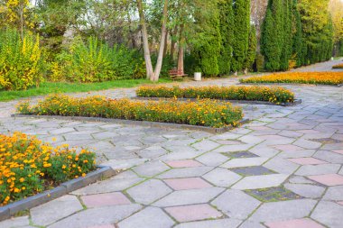 Resimli bir park yolu, canlı turuncu kadife çiçeklerini geometrik desenlere eker ve görsel olarak çekici bir manzara yaratır..