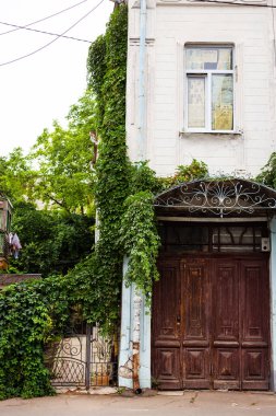 Ahşap kapılı ve sarmaşık kaplı, yemyeşil ve kırsal detaylarla çevrili büyüleyici bir klasik bina..