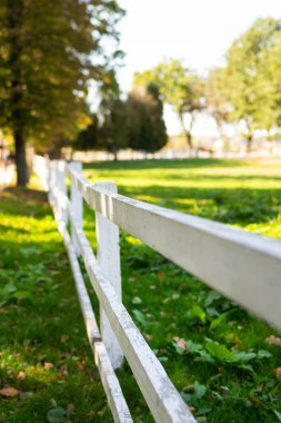 Yıpranmış beyaz bir çit, güneşli yeşil bir çayıra uzanıyor ve sakin bir pastoral manzara yaratıyor..