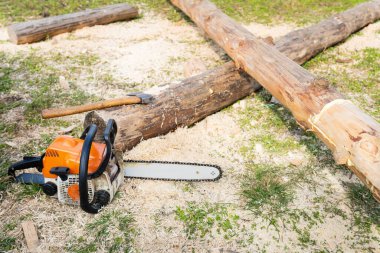 Elektrikli testere, balta ve yeni kesilmiş kütükler yerde duruyor, talaş etrafa saçılmış, oduncu çalışmalarında kullanılan aletleri ve malzemeleri gösteriyor..