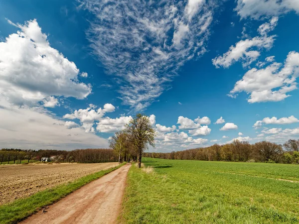 Tavaszi Lengyel Táj Földút Zöld Mezők Kék Festői Felhőkkel Természet — Stock Fotó