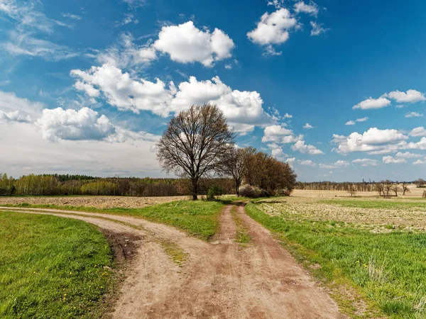 Tavaszi Lengyel Táj Földút Zöld Mezők Kék Festői Felhőkkel Természet — Stock Fotó