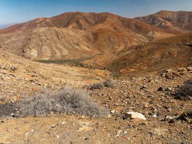 İsrail 'deki Negev Çölü' nün dağlarındaki kuru otlar.