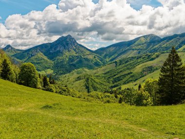 Slovakya 'daki Mala Fatra dağlarındaki Rozsutec dağının manzarası. Manzara yemyeşil tepeleri, sık ormanları ve canlı tarlaları gösteriyor.