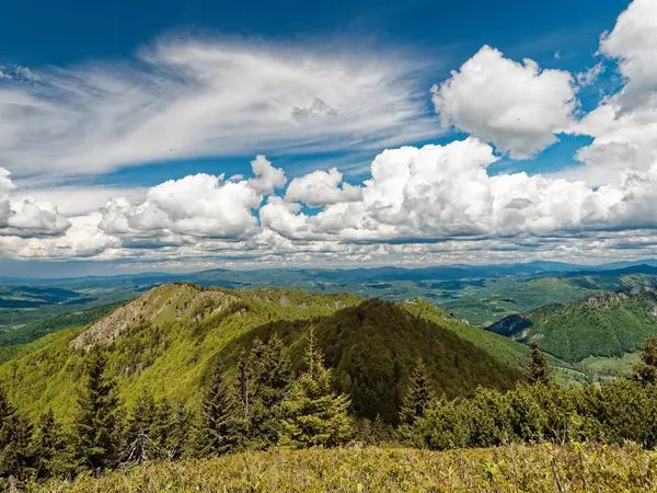 Slovakya 'daki Mala Fatra dağlarının manzarası. Sahne ormanlarla kaplı yuvarlanan yeşil tepeleri parlak, güneşli bir günde kabarık bulutlarla dolu canlı bir gökyüzünün altında uzanıyor..