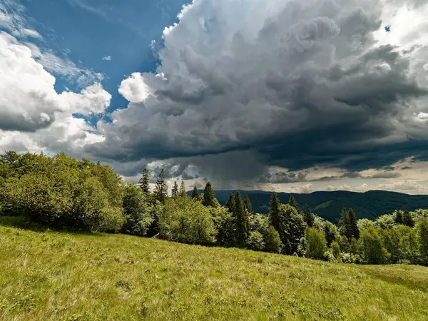 Fırtınalı bir gökyüzünün altında yeşil çayır ve ormanı gösteren dramatik bir manzara. Uzakta kara bulutlar toplanıyor, yağmur uzak tepelerden yağıyor, parlak mavi gökyüzü parçalarıyla çelişiyor..
