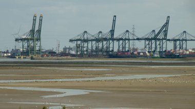 Antwerp Liman Kapısı Büyük Avrupa limanı Ticaret ve Lojistik Desteği.