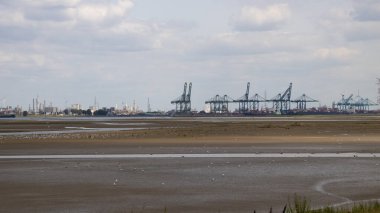 Antwerp Liman Kapısı Büyük Avrupa limanı Ticaret ve Lojistik Desteği.