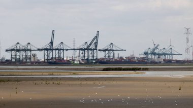Antwerp Liman Kapısı Büyük Avrupa limanı Ticaret ve Lojistik Desteği.
