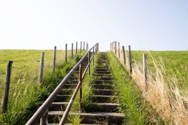 Mistik Zeeland Sonsuz ufuklar, hendekler, deniz, tarlalar, barış.
