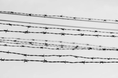 Polonya 'daki Auschwitz Nazi toplama ve imha kampında dikenli teller. 