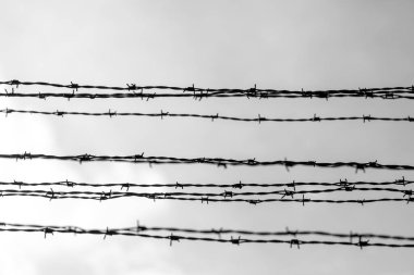 Polonya 'daki Auschwitz Nazi toplama ve imha kampında dikenli teller. 