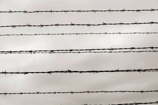Barbed Wire Fence Auschwitz Nazi Concentration Extermination Camp Poland — Stock Photo, Image