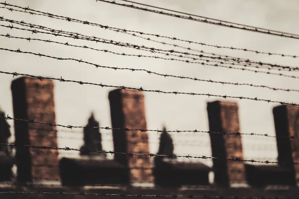 Auschwitz Nazi Toplama Kampı Polonya Daki Dikenli Tel Örgülerin Arkasındaki — Stok fotoğraf