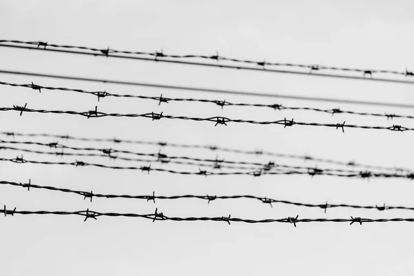ポーランドのアウシュビッツ ナチスの強制収容所と絶滅収容所の有刺鉄線フェンス — ストック写真