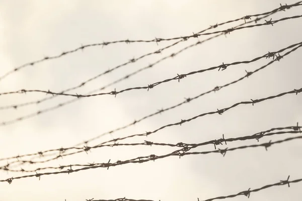 ポーランドのアウシュビッツ ナチスの強制収容所と絶滅収容所の有刺鉄線フェンス — ストック写真