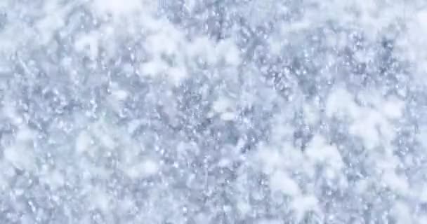 Tempestade Inverno Com Nevasca Pesada — Vídeo de Stock