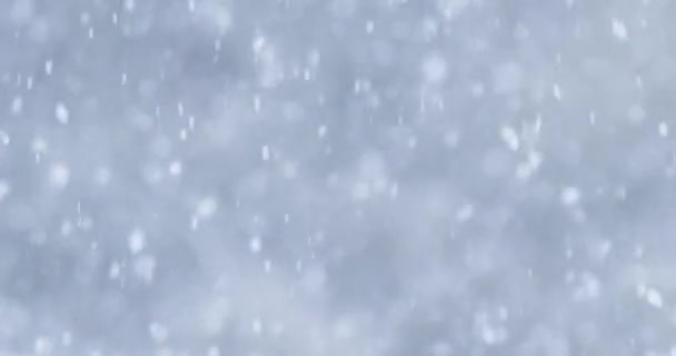 Χειμερινή Καταιγίδα Βαριά Χιονόπτωση — Αρχείο Βίντεο