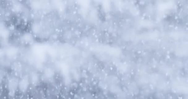大雪下的冬季风暴 — 图库视频影像