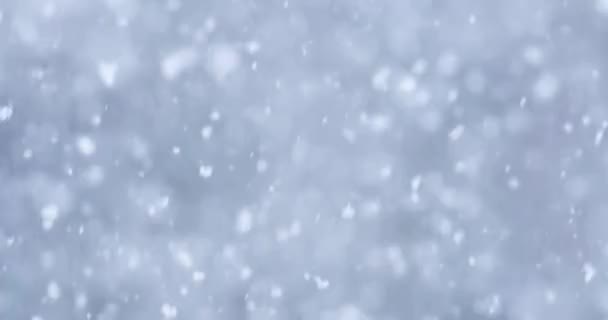 Vinterstorm Med Kraftigt Snöfall — Stockvideo