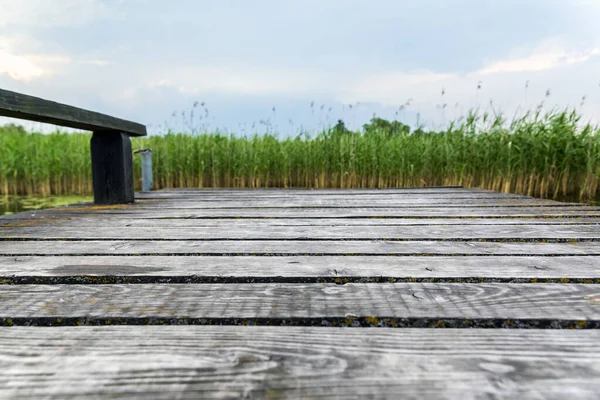 背後に葦のある沼の木製の桟橋 — ストック写真